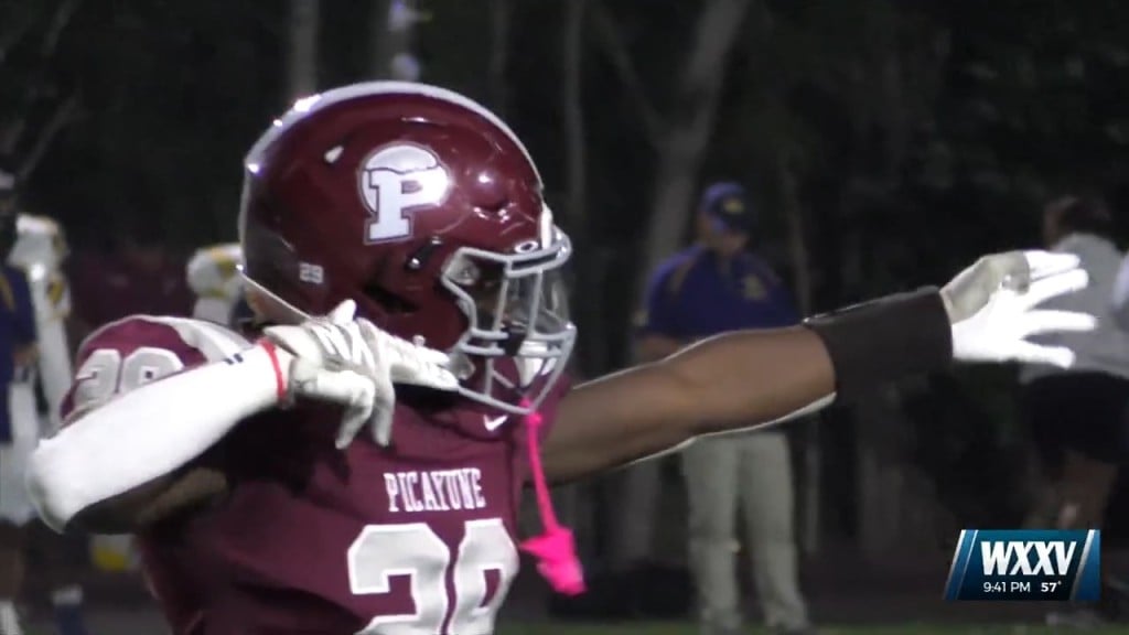 Picayune Preview