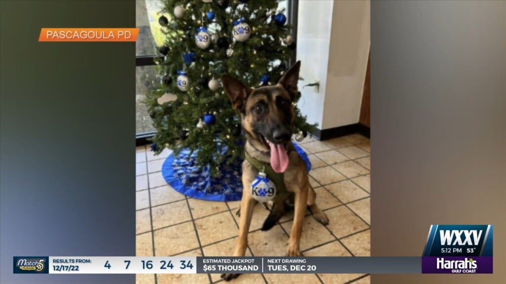 Pascagoula Pd Honoring Former And Current K9 Officers With Ornaments