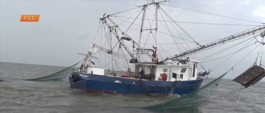 New Incentive Program For Mississippi Shrimpers