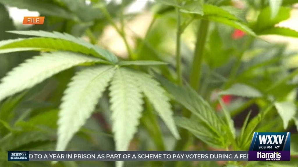 Coast Couple Looks To Begin New Cannabis Facility