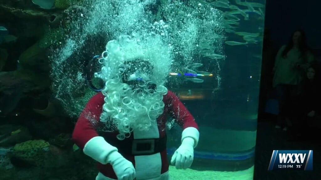 Holiday Events At The Mississippi Aquarium