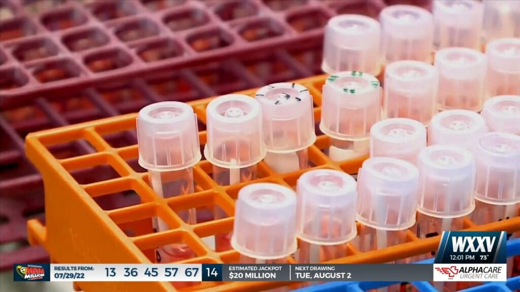 Cases Of Bird Flu On The Rise In Mississippi