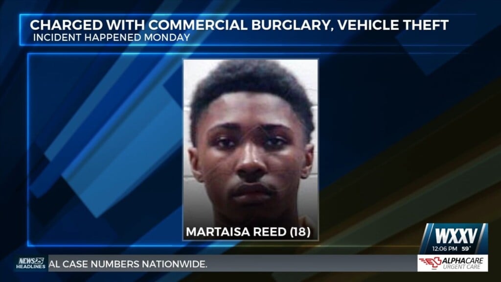 Charged With Commercial Burglary, Vehicle Theft