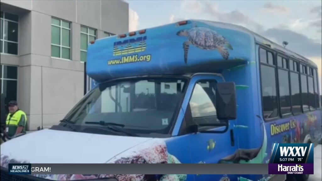Cold Stunned Turtles Headed To The Coast