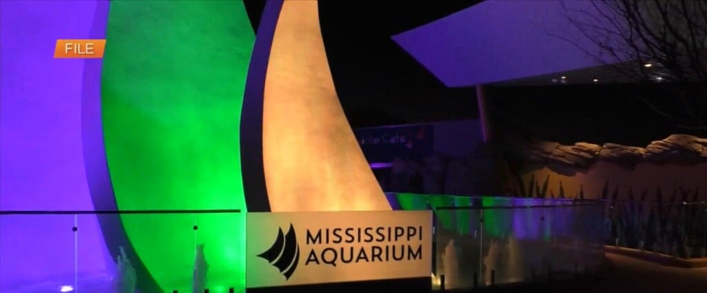 Mississippi Aquarium Joining In On Carnival Festivities