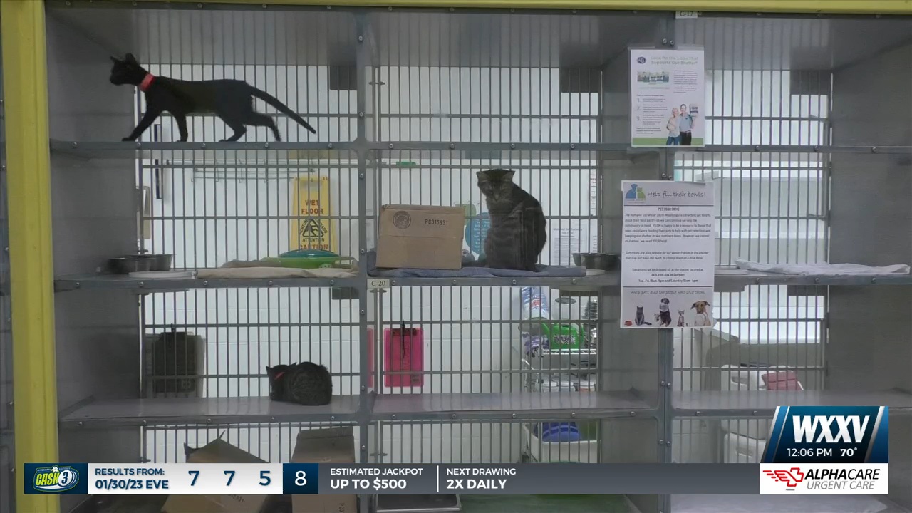 petsmart mississippi