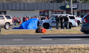 Brusly And Addis Police At Site Of Deadly Car Crash In West Baton Rouge Parish - Photo: WVLA