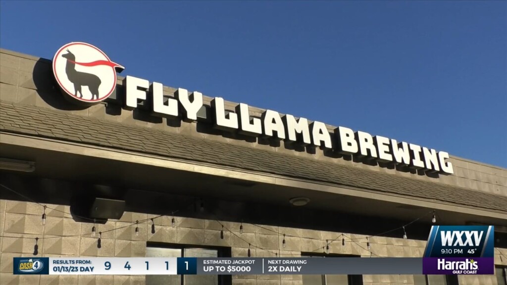 Fly Llama Brewing In Biloxi Is Celebrating Two Years Of Business