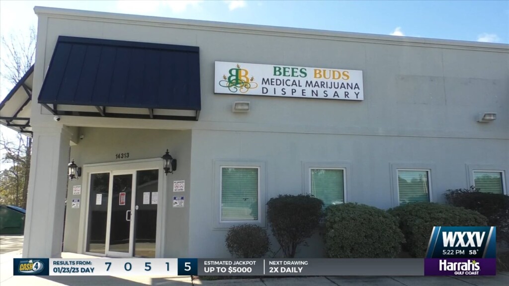 Grand Opening Of Bee’s Buds Medical Marijuana Dispensary In St. Martin
