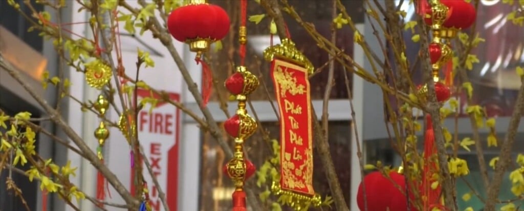 Vietnamese Martyrs Church In Biloxi Celebrates Lunar New Year