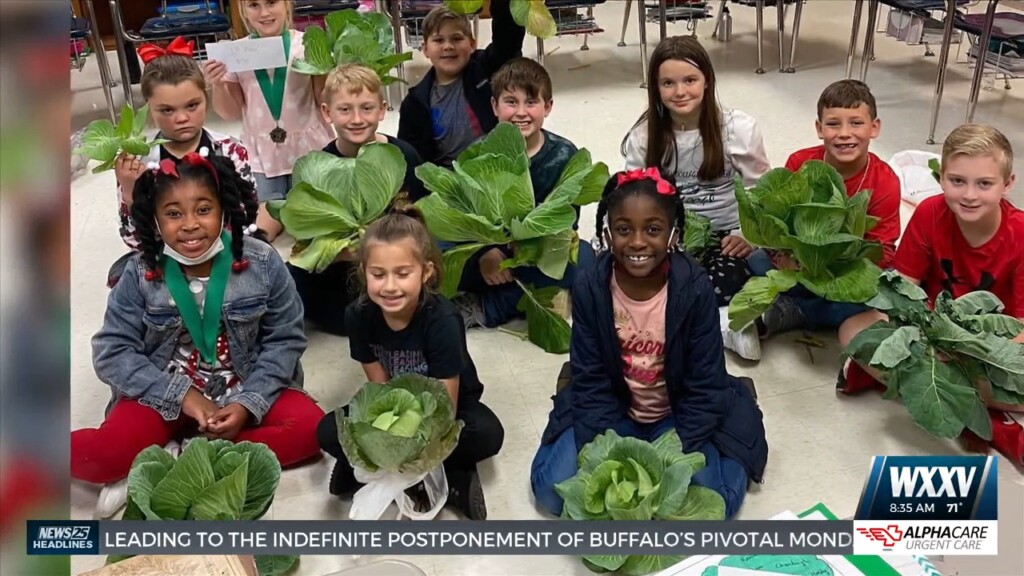 Local Third Graders Participate In Cabbage Contest Put On By Pine Hill Nursery