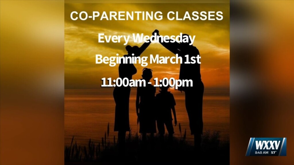 Organizations Offering Co Parenting Classes
