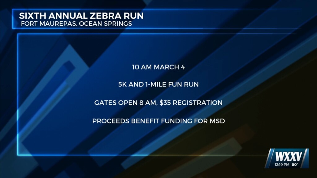 Sixth Annual Zebra Run In Ocean Springs