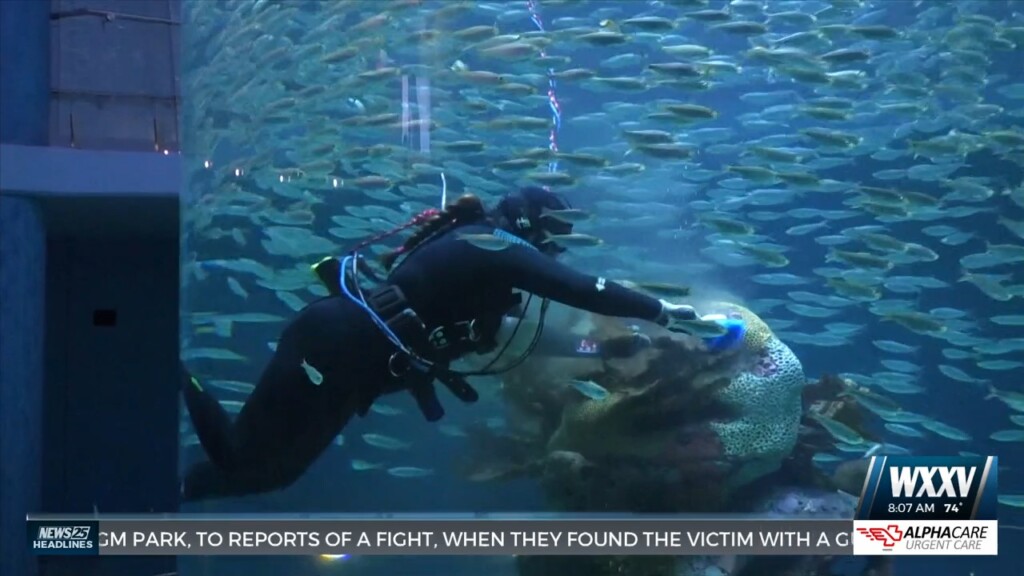 Guests Learn How To Control Invasive Species At Mississippi Aquarium