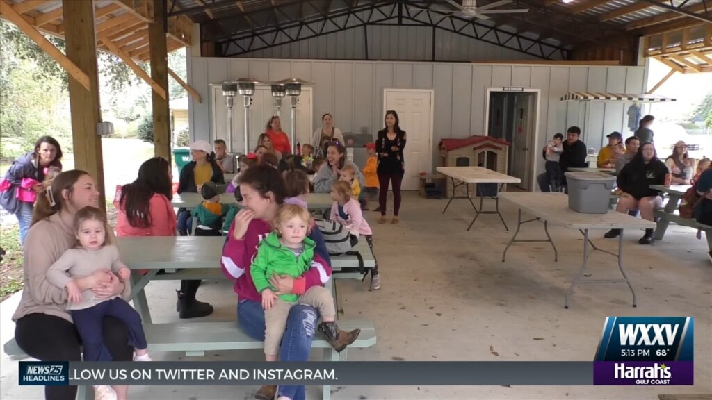 Toddlers Plant Trees In Honor Of Arbor Day At Pines Hills Nursery In Pass Christian