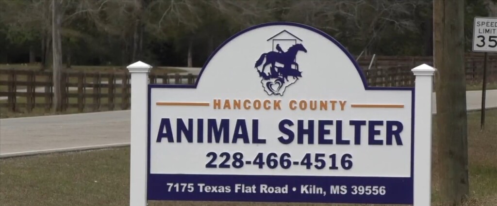 No Truth Found In Alleged Dog Abuse In Hancock County