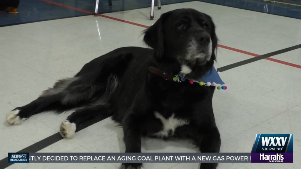 St. Alphonsus Students Celebrate Therapy Dog’s Birthday By Raising Money For Shelter Animals