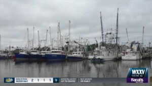 Pass Christian Harbor Reconstruction Almost Done