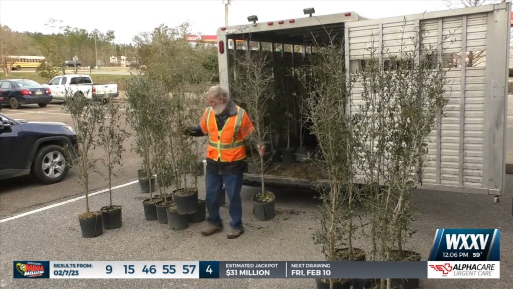 Harrison County Soil And Water Conservation District Hosted Arbor Day Tree Distribution