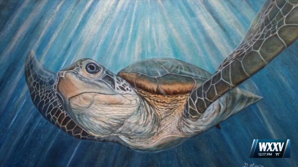 Art In The Pass Event This Weekend