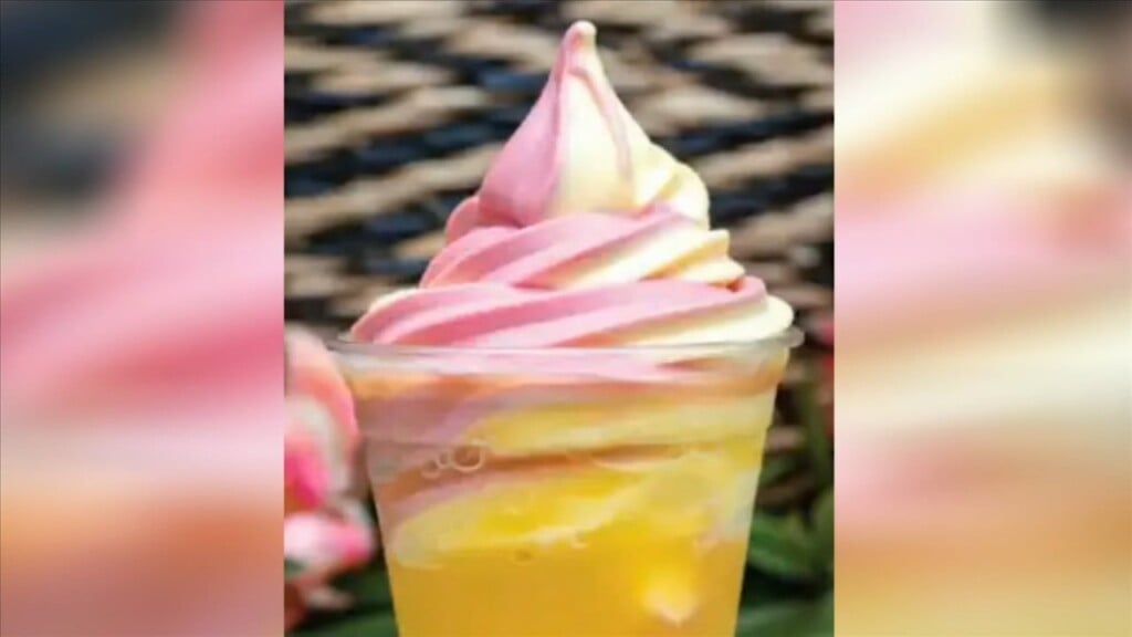Dole Whip Heads To Stores
