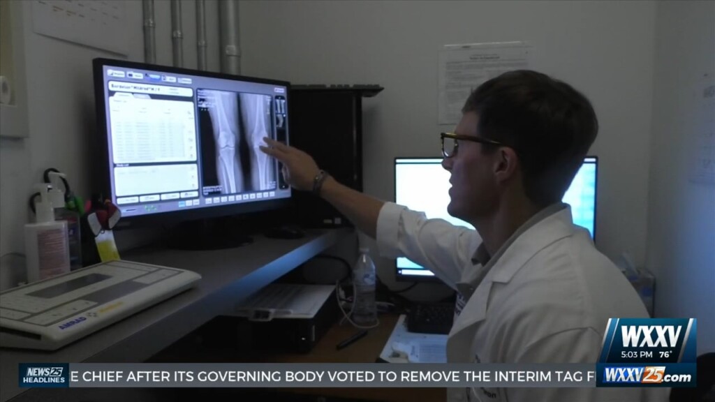 First Bear Implant Surgery For Torn Acl Performed In The State