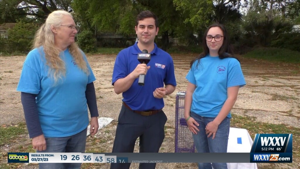 Fixin’ The Coast Helps Spay And Neuter Stray Cats