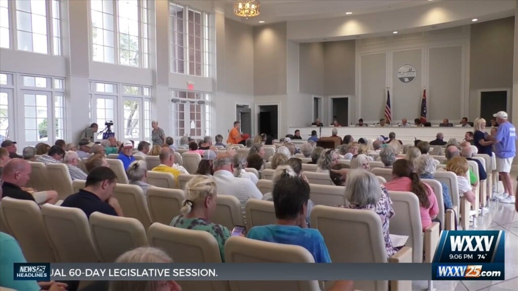Tensions Rise During Meeting To Discuss Live Oak Tree In Long Beach