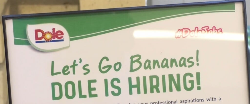 Mgccc Students Explore Job Opportunities With Dole
