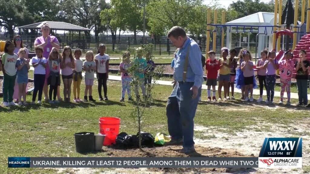 Back Bay Elementary Students Learn About Planting Trees