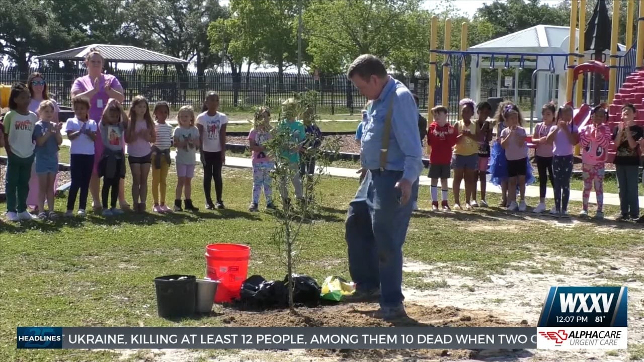 Back Bay Elementary students learn about planting trees - WXXV News 25