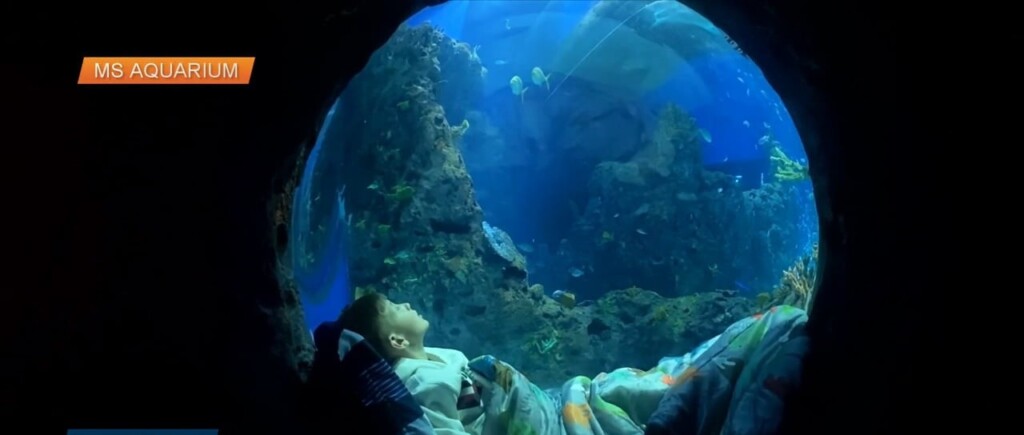Mississippi Aquarium Hosts Zzz’s By The Seas Sleepover