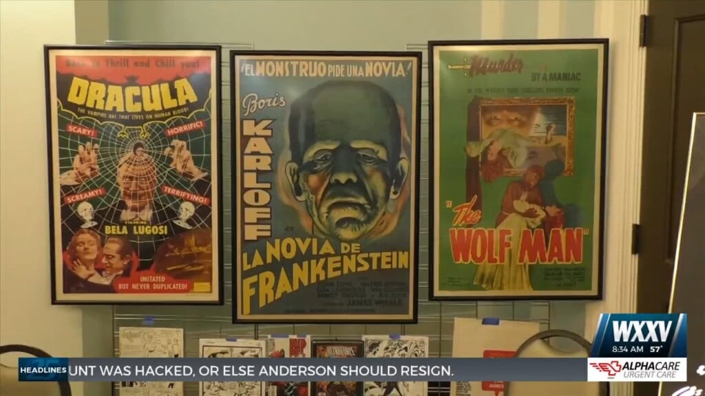 Guests Celebrate Pop Culture At Sixth Annual Hancock Library System Fanfest