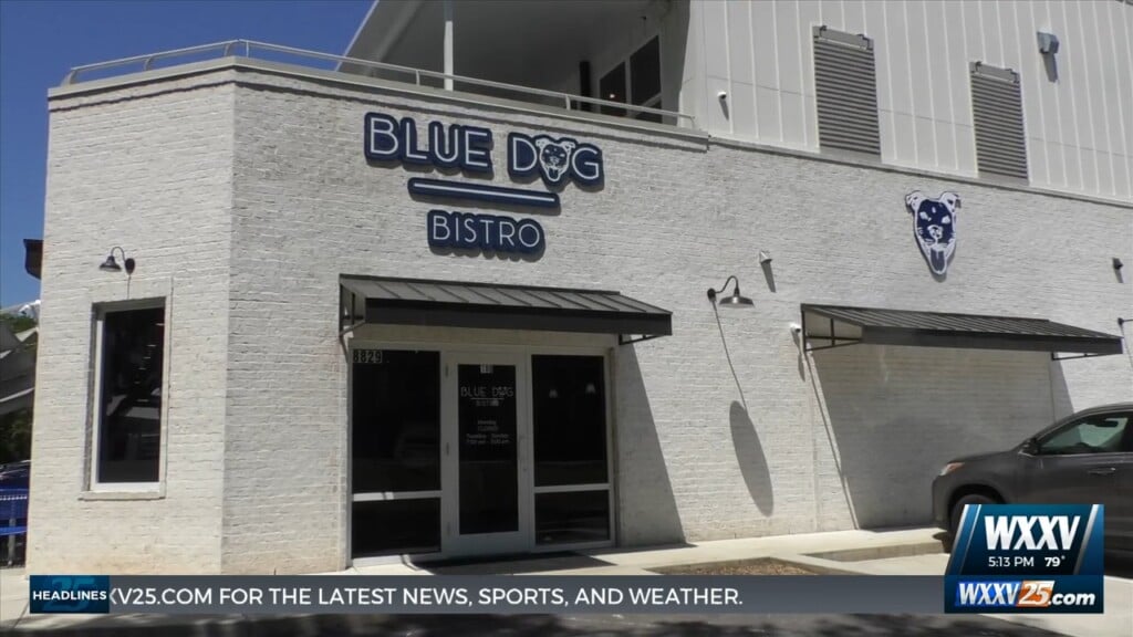 Blue Dog Bistro Open For Business In Gulfport