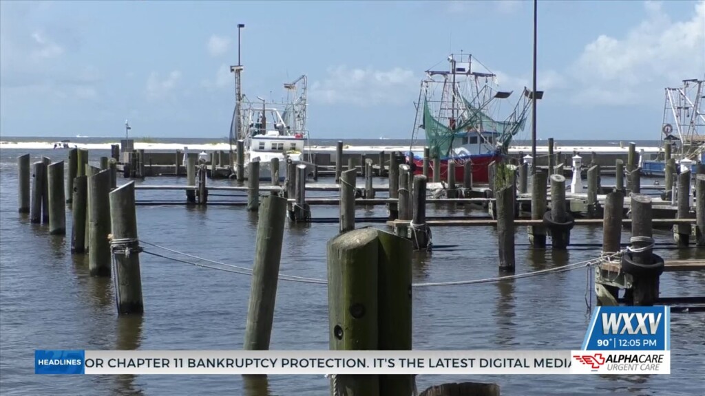 Shrimp Season In State Waters Opens May 22nd