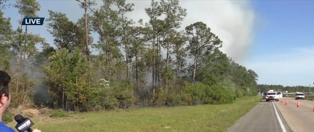 Fire Breaks Out At Desoto National Forest
