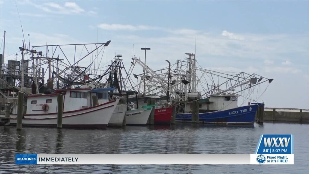 Local Shrimpers Hit The Water For The First Day Of Shrimp Season