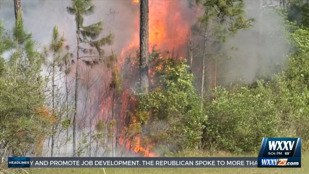 Flames Burn Part Of Desoto National Forest In Harrison County