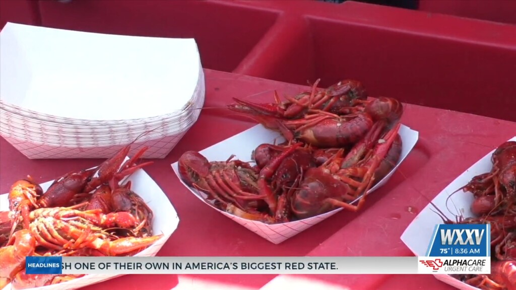 Teams Compete For Best Crawfish At The Budweiser Ocean Springs Crawfish Cookoff