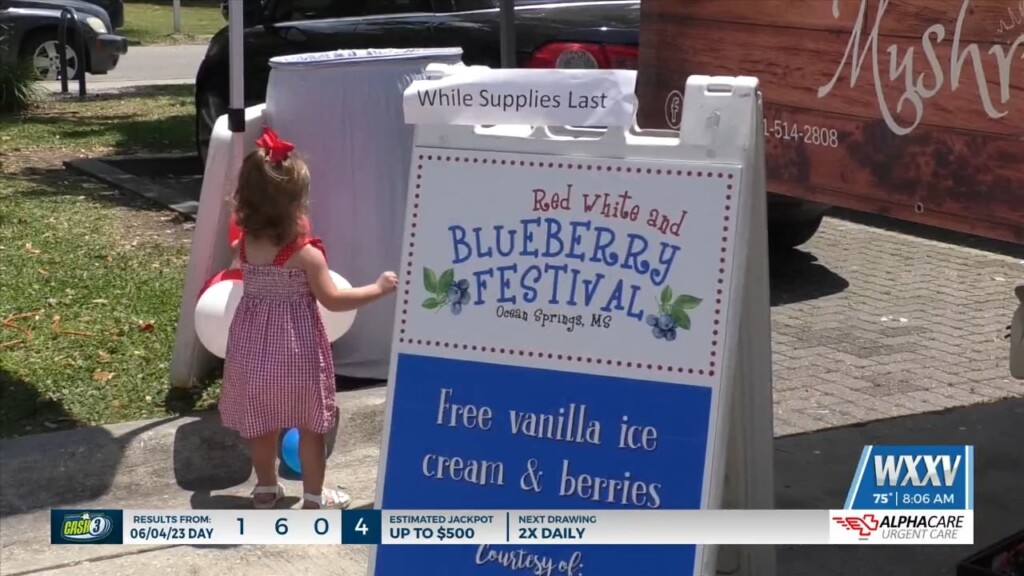 Community Enjoys 18th Annual Red, White And Blueberry Festival In Ocean Springs