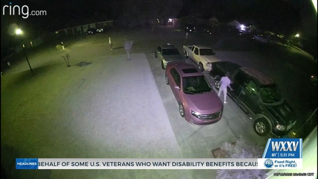 Suspects Wanted For Vehicle Theft In Gautier
