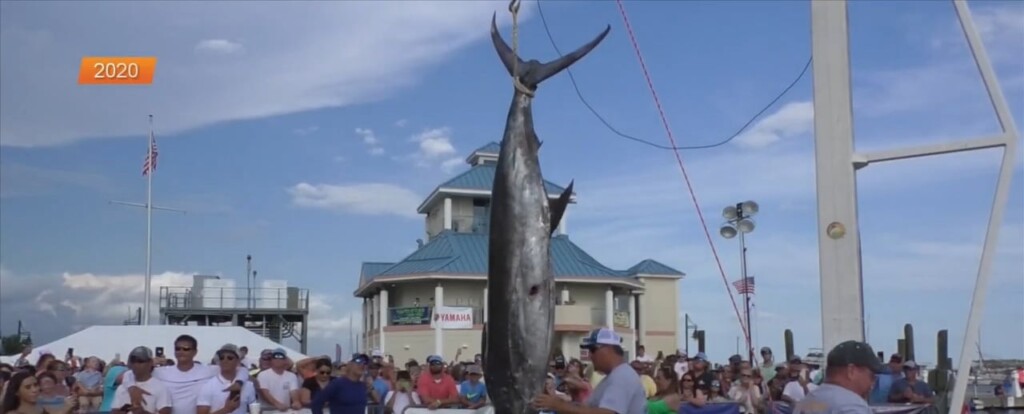 The Billfish Classic Is Back On The Coast