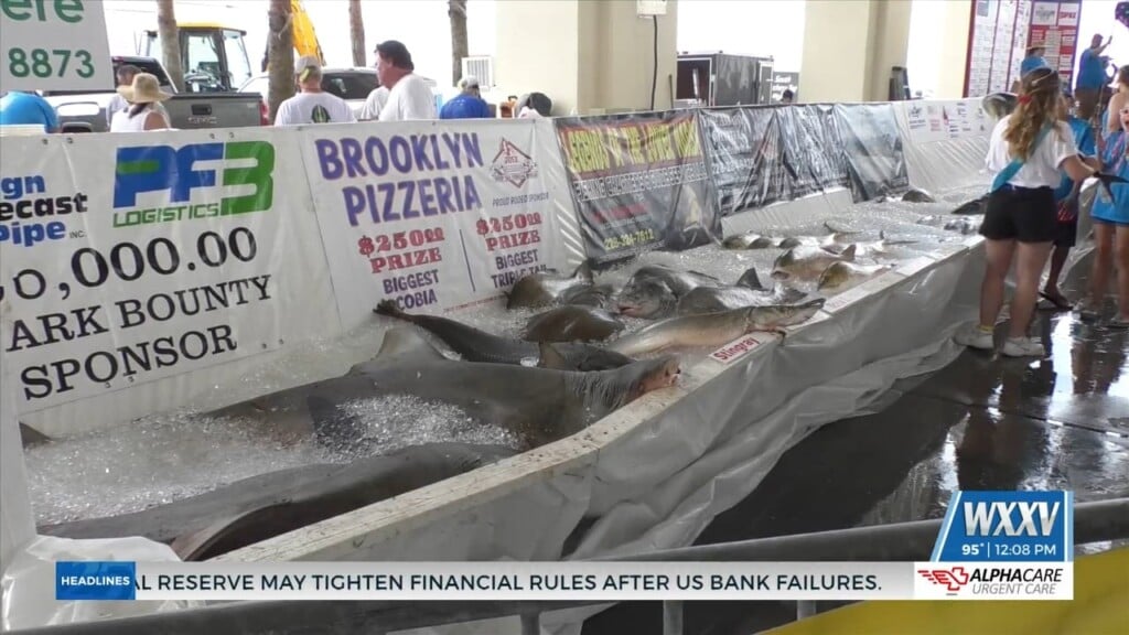 Mississippi Deep Sea Fishing Rodeo Returns To The Coast
