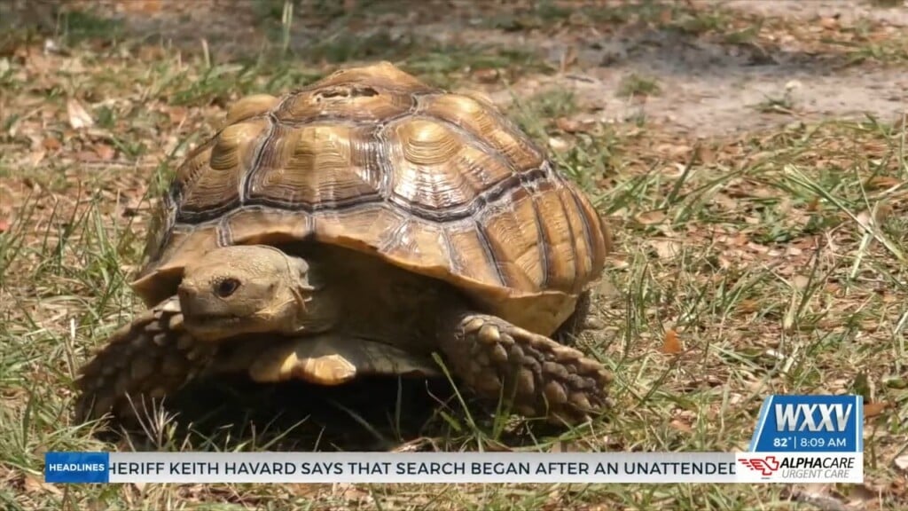 Jackson County Celebrates Nature At Sand Jam ‘23