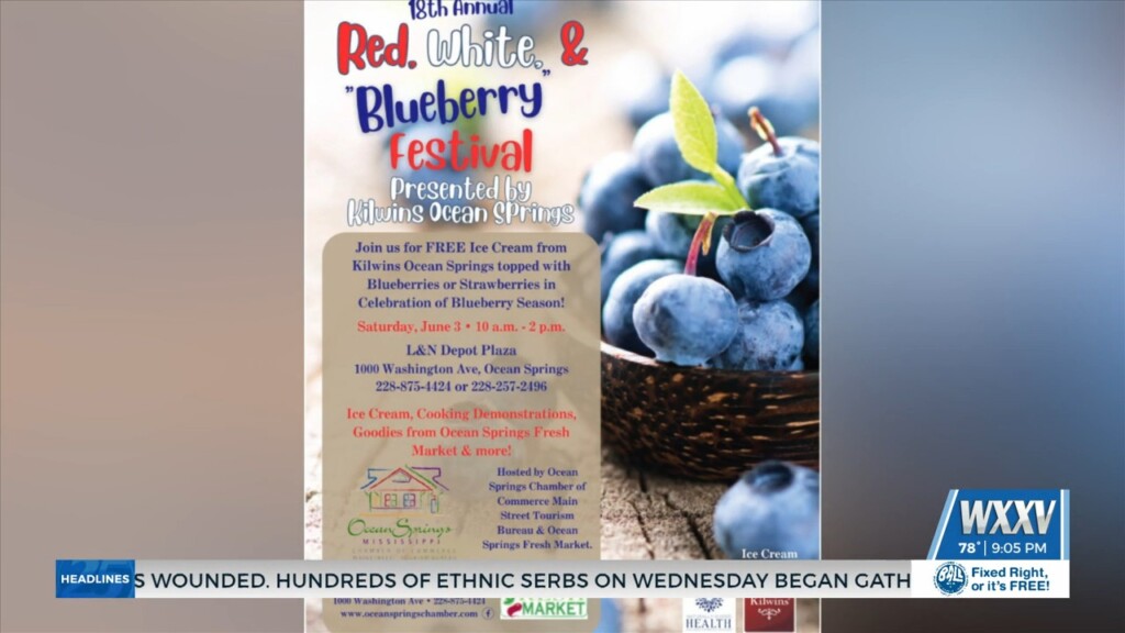 18th Annual Blueberry Festival In Ocean Springs Saturday