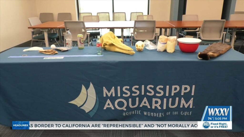 Celebrating World Oceans Day At The Mississippi Aquarium