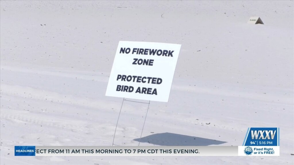 Firework Safety For Coastal Birds