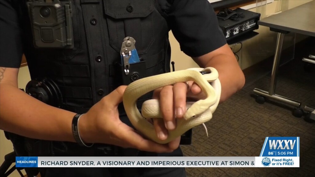 Wild At Heart Rescue Visits Hancock County Library