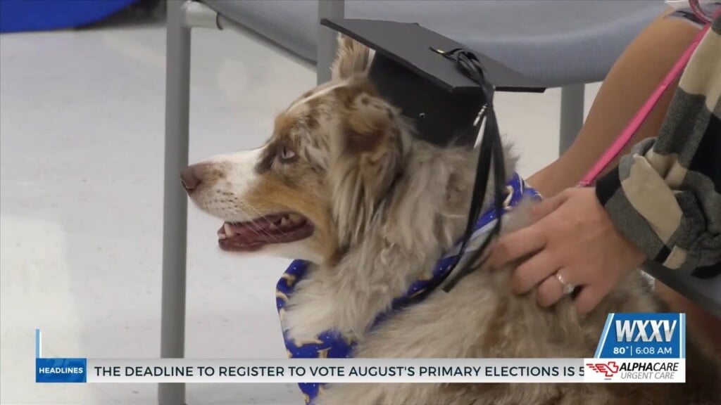 17th Annual Pet Therapy Graduation