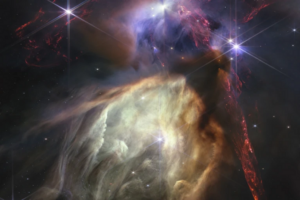 Stars